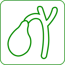 gallbladder