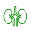 urology